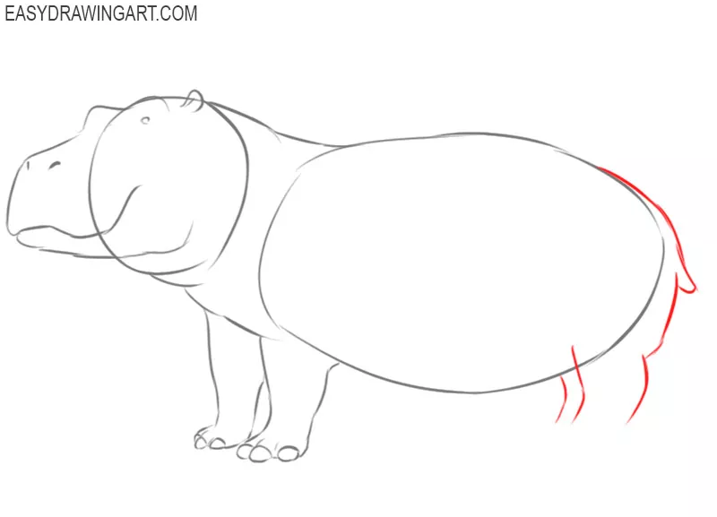 hippopotamus drawings to color 