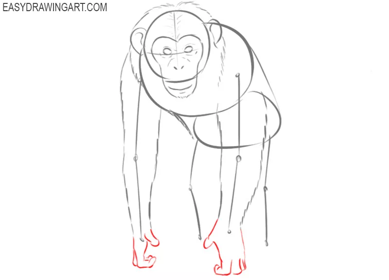 how 2 draw a chimpanzee