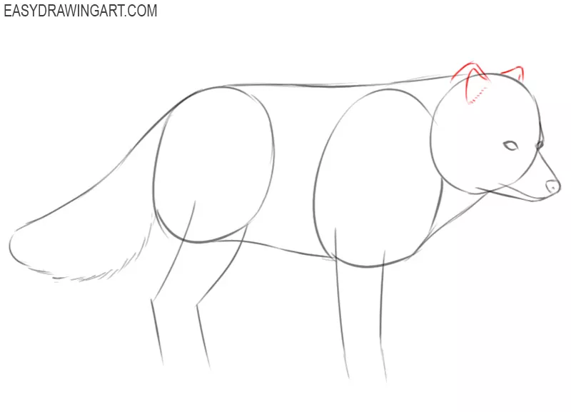 how to draw a arctic fox step by step easy 