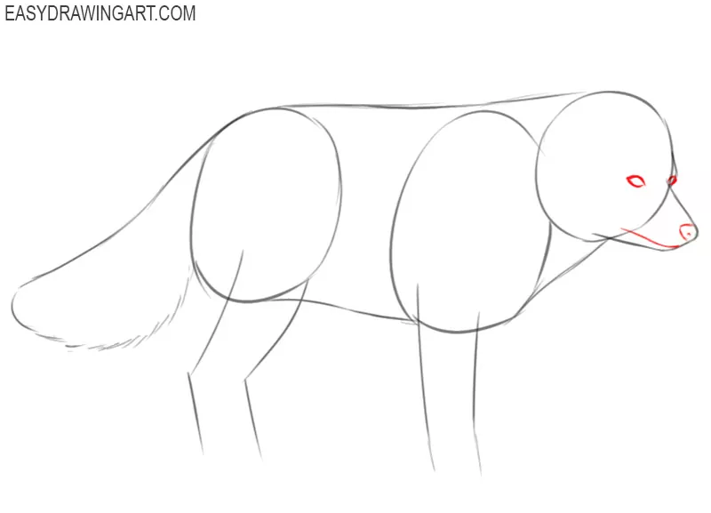 how to draw a arctic fox step by step 