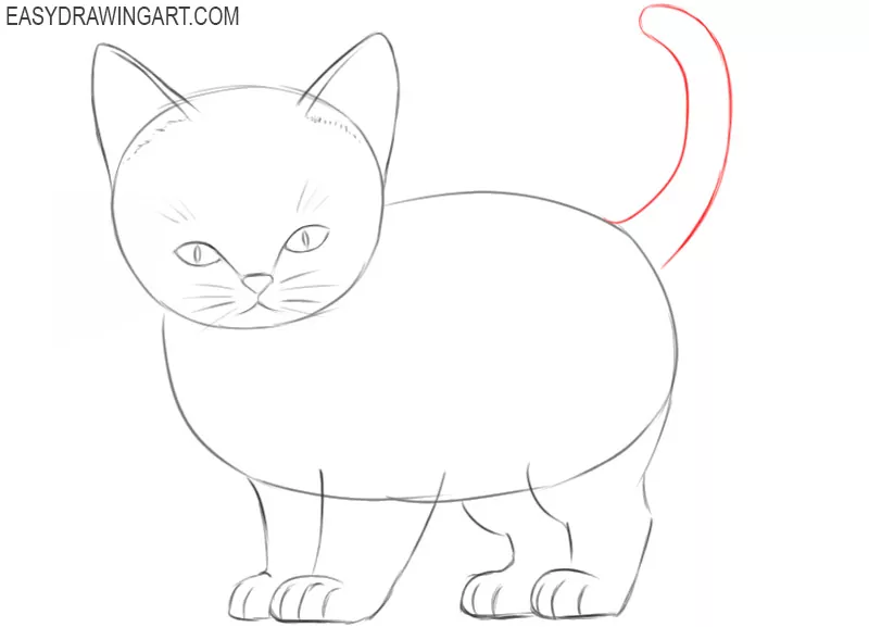 How To Draw A Kitten Easy Drawing Art