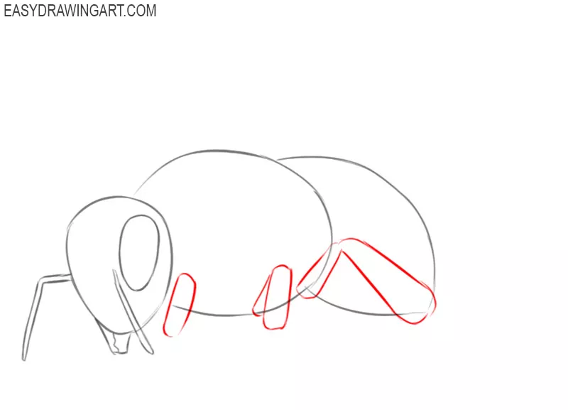 how to draw a basic bee 