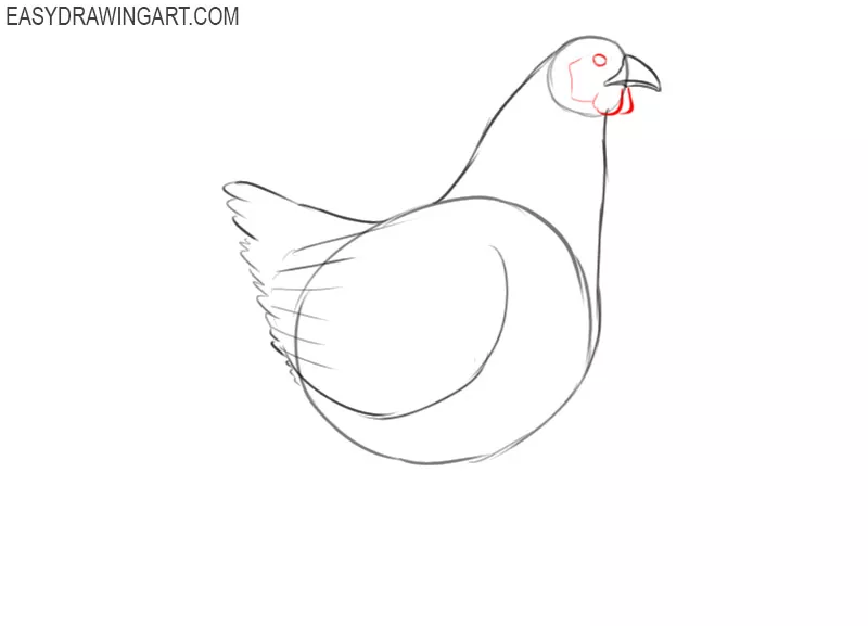 how to draw a basic chicken