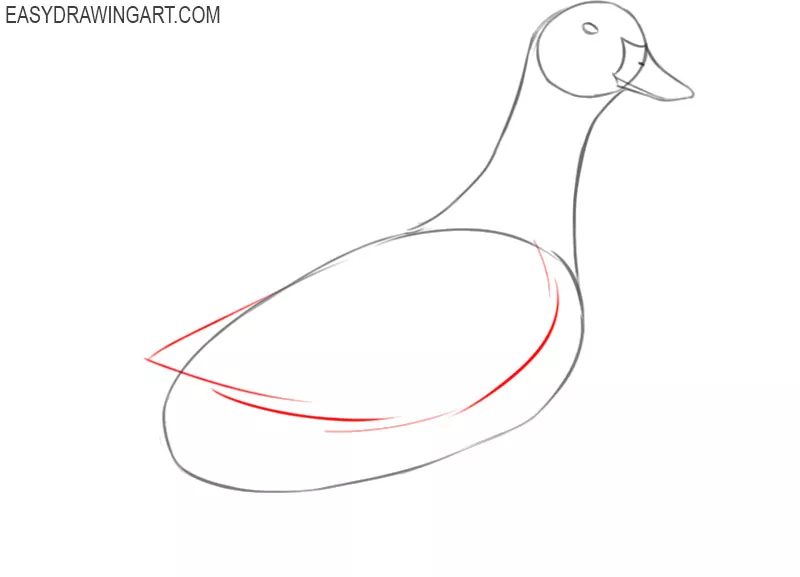 how to draw a basic duck