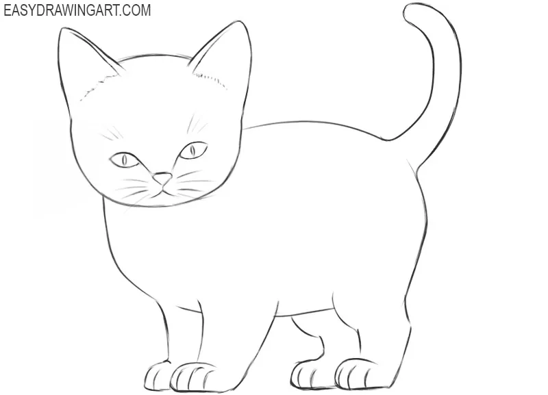 how to draw a basic kitten 