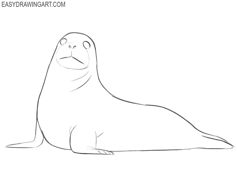 how to draw a basic seal