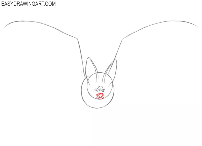 how to draw a bat body 