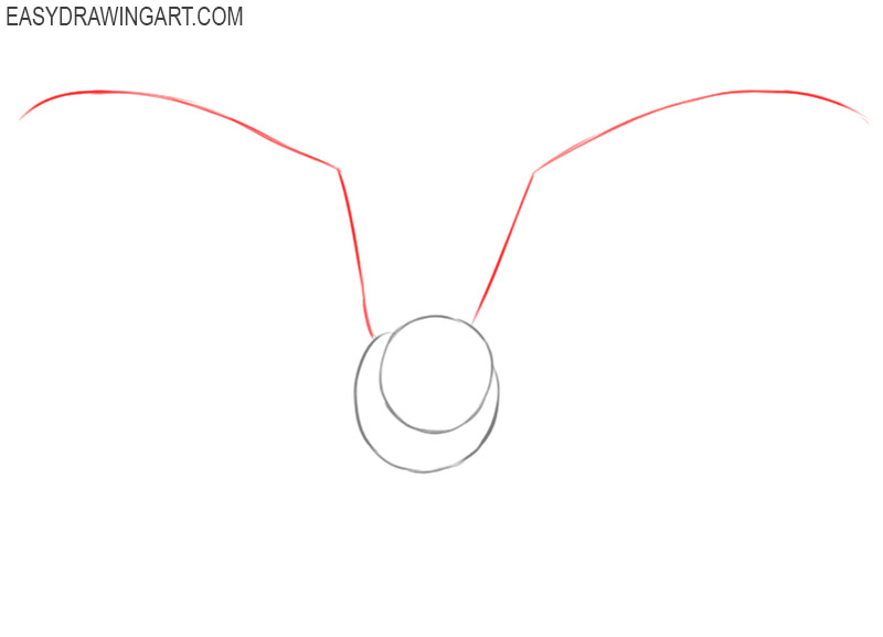 how to draw a bat step by step