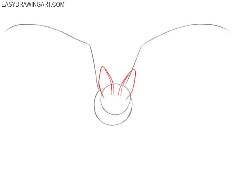how to draw a bat easy