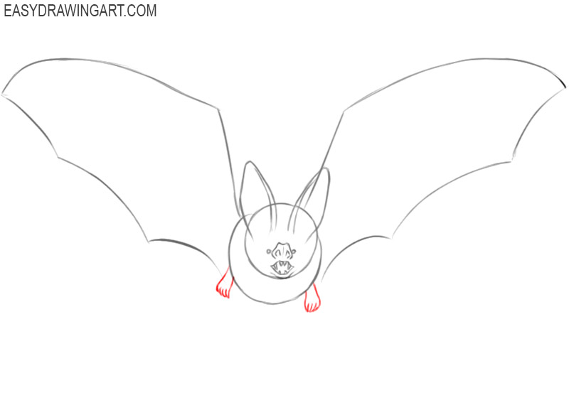 how to draw a bat cute