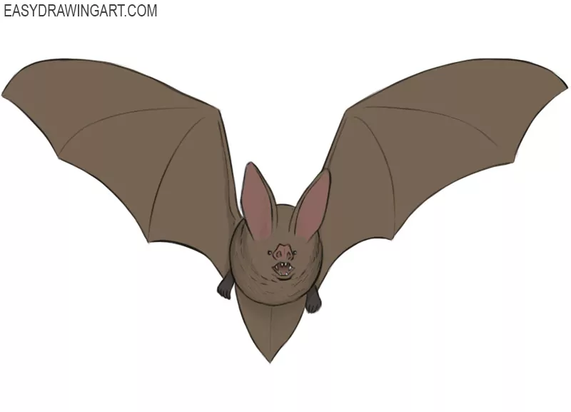 Simple Drawing Black Bat Stock Illustration 1529210354 | Shutterstock | Easy  halloween drawings, Easy drawings, Cute halloween drawings