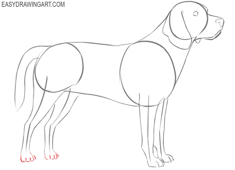 how to draw a beagle dog easy