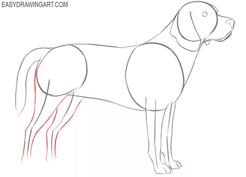 how to draw a beagle easy step by step