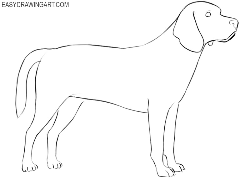 easy way to draw a beagle
