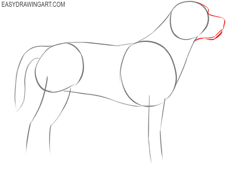 how to draw an easy beagle