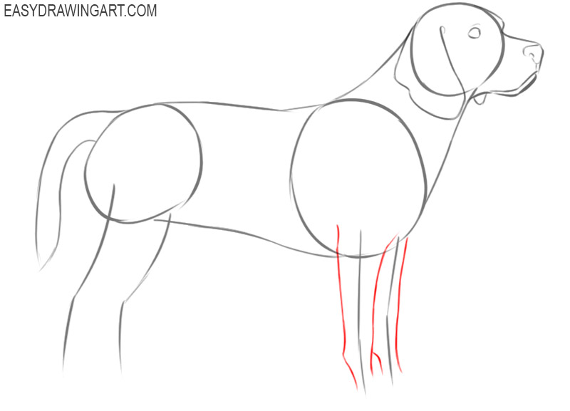 how to draw a cute cartoon beagle