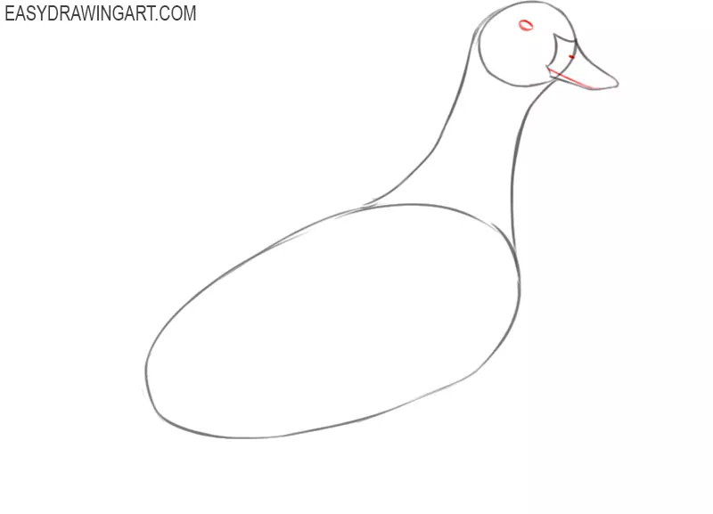 how to draw a beautiful duck