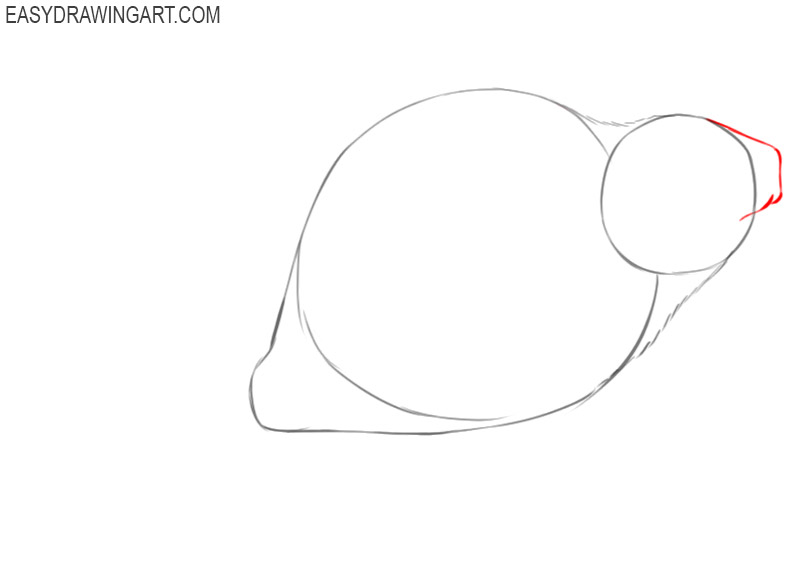 how to draw a beaver step by step