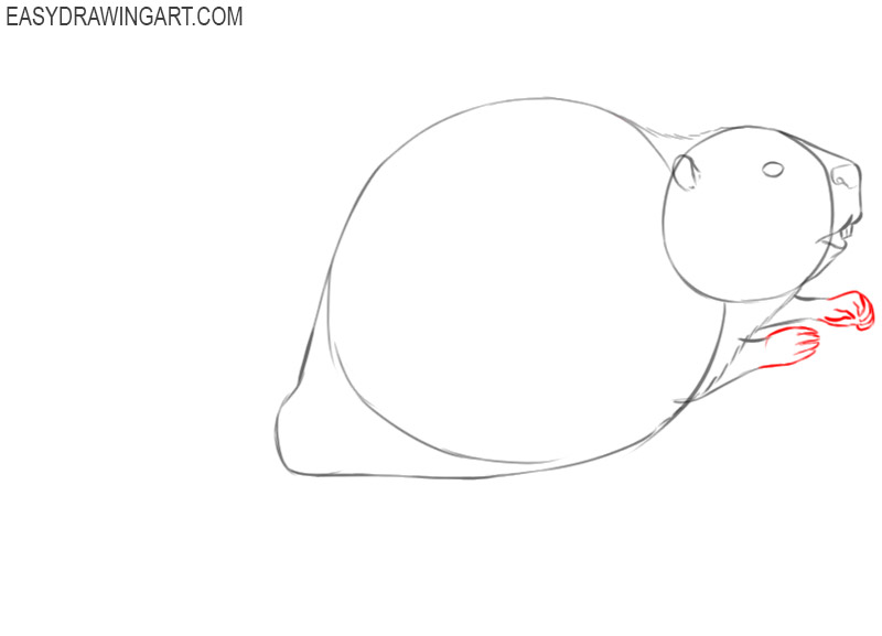how to draw a cartoon beaver easy