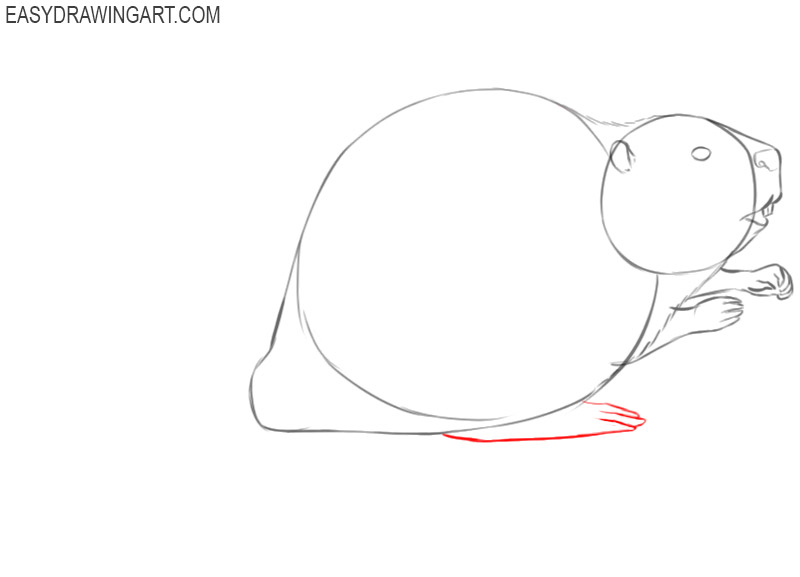 how to draw a cute cartoon beaver