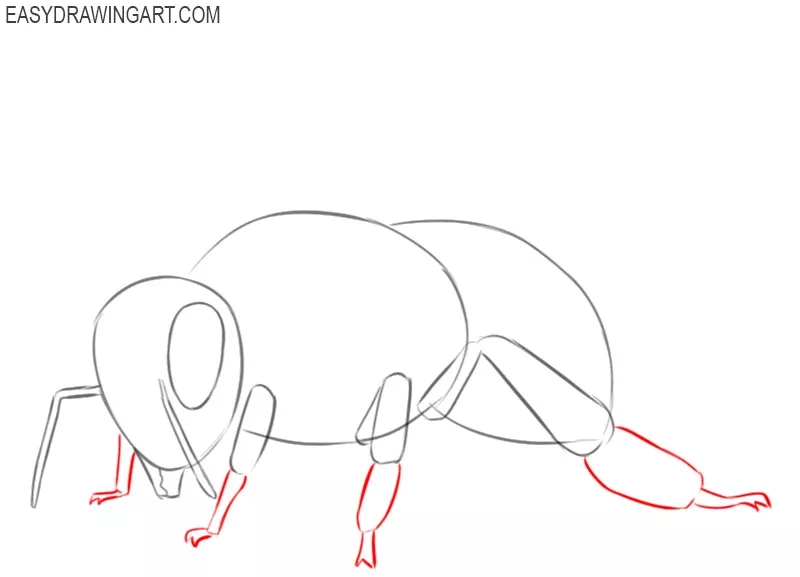 how to draw a bee cute