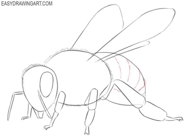 how to draw a bee draw so cute 