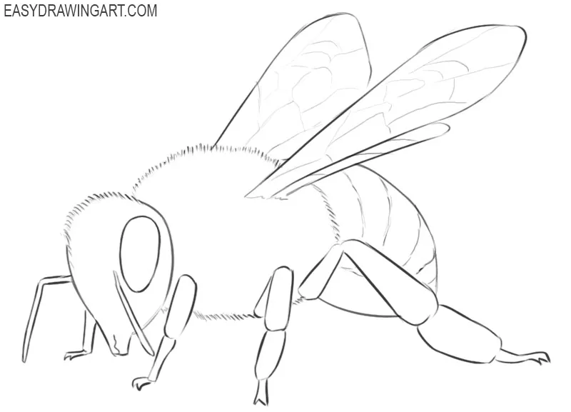 how to draw a bee easily 
