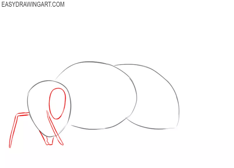 how to draw a bee easy