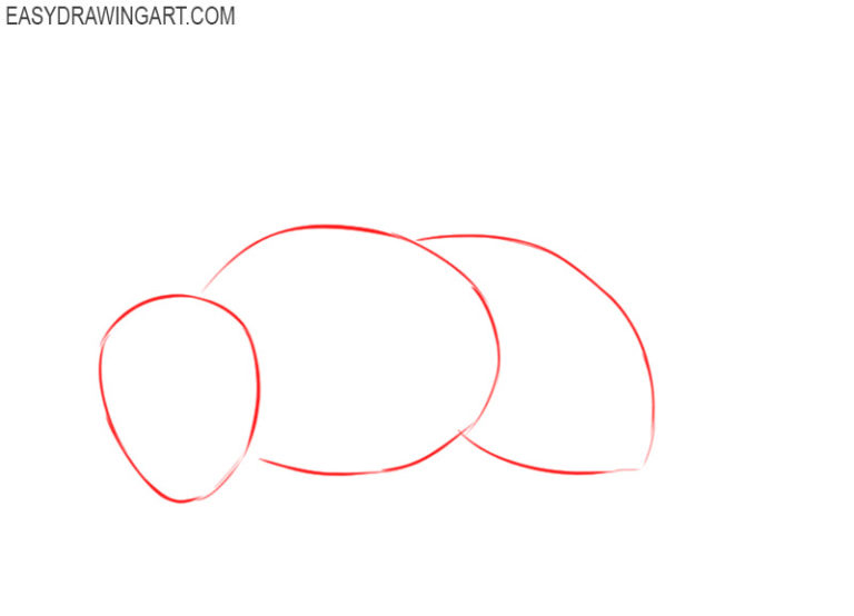 How to draw a bee