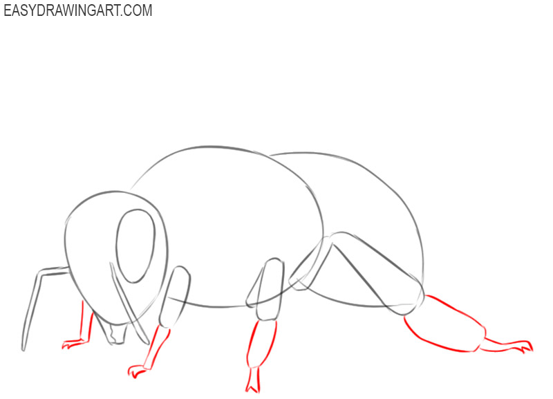 how to draw a bee cute