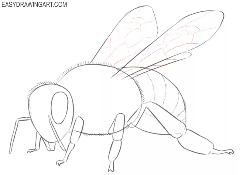 how to draw a bee step by step drawing
