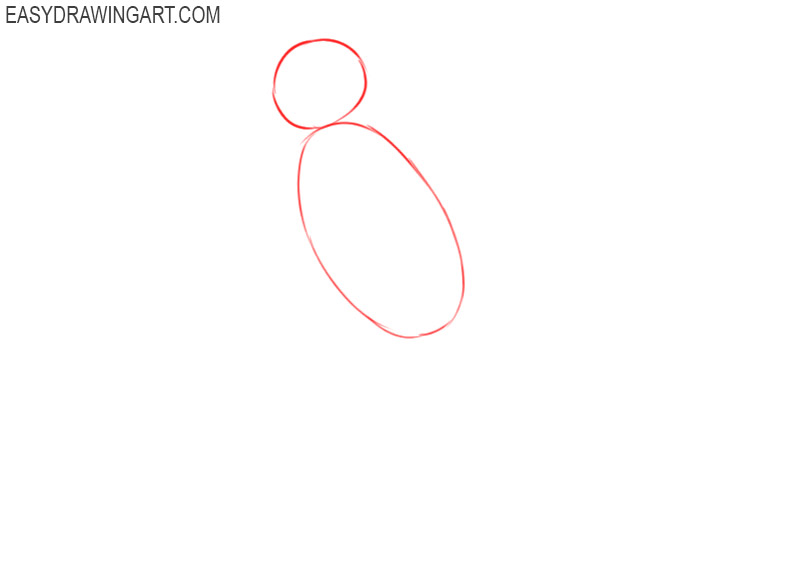 how to draw a blue jay step by step