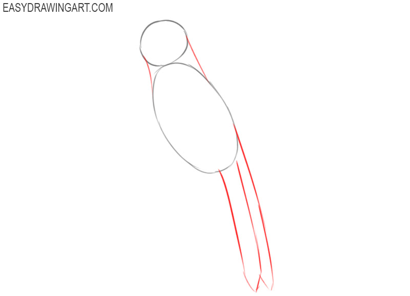 how to draw a blue jay cartoon
