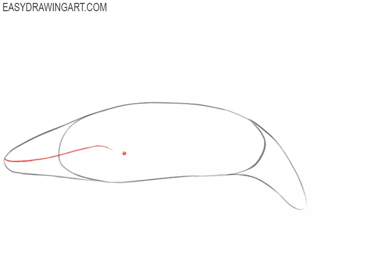 How to draw kawaii whale, step-by-step tutorial with pictures