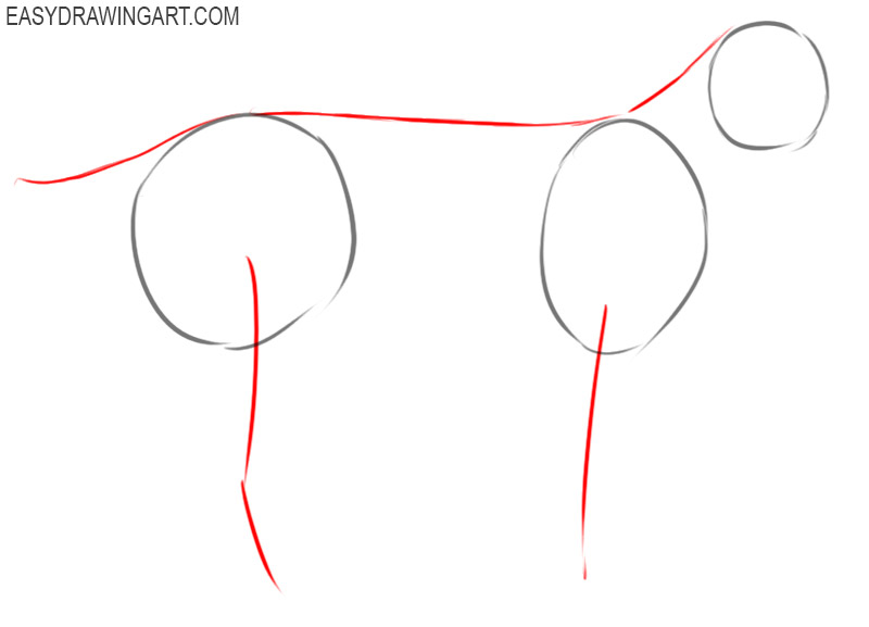 how to draw a bobcat easy step by step