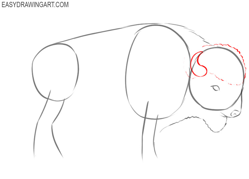 how to draw a buffalo easy step by step 