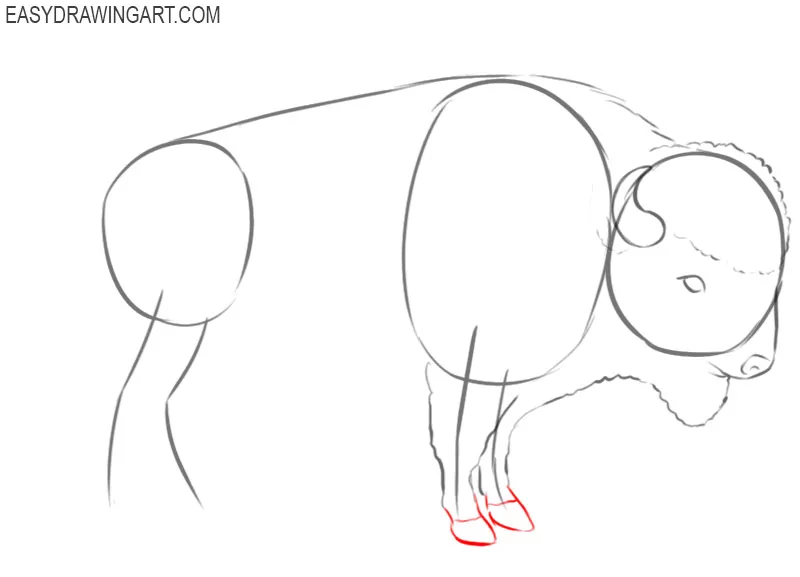 how to draw a buffalo in steps
