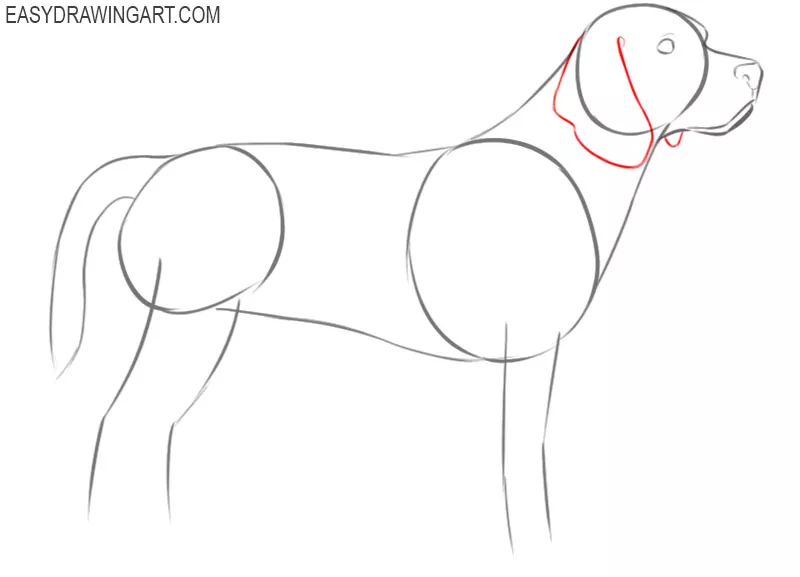 how to draw a cartoon beagle dog