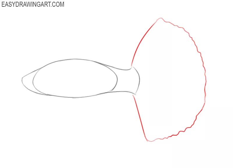 how to draw a cartoon betta fish