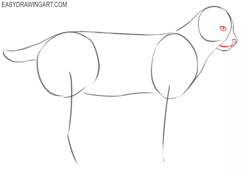 how to draw a cartoon bobcat