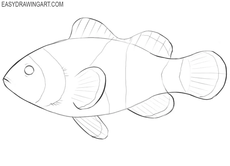 how to draw a cartoon clown fish step by step
