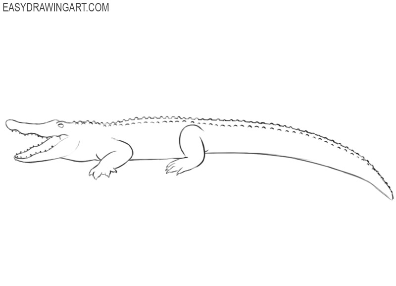 how to draw a cartoon crocodile step by step 