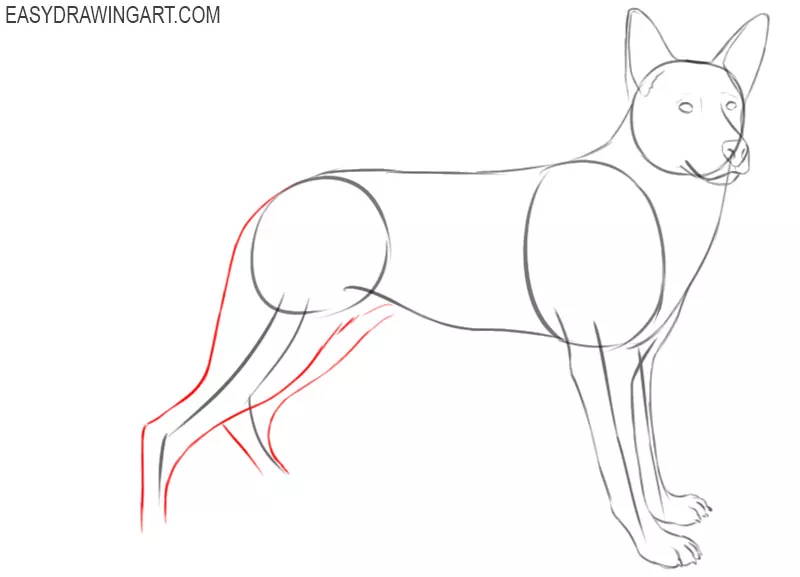 how to draw a cartoon german shepherd dog