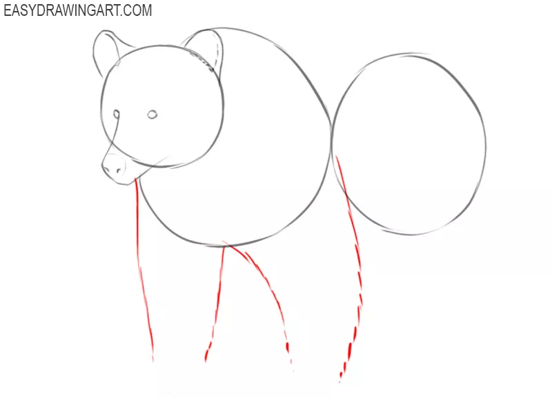 how to draw a cartoon grizzly bear step by step