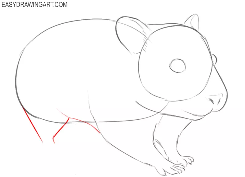 How to Draw a Hamster - Easy Drawing Art