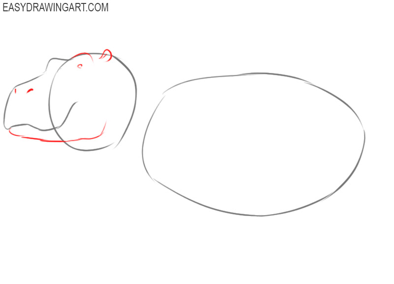 how to draw a cartoon hippopotamus 