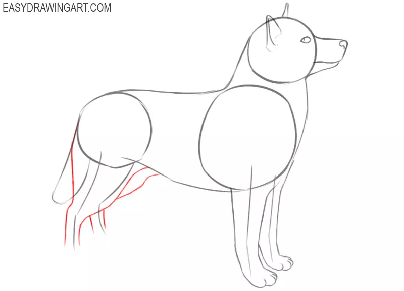 how to draw a cartoon husky puppy step by step