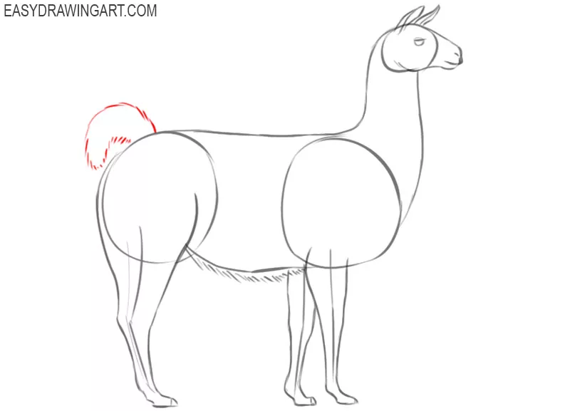 how to draw a cartoon llama easy
