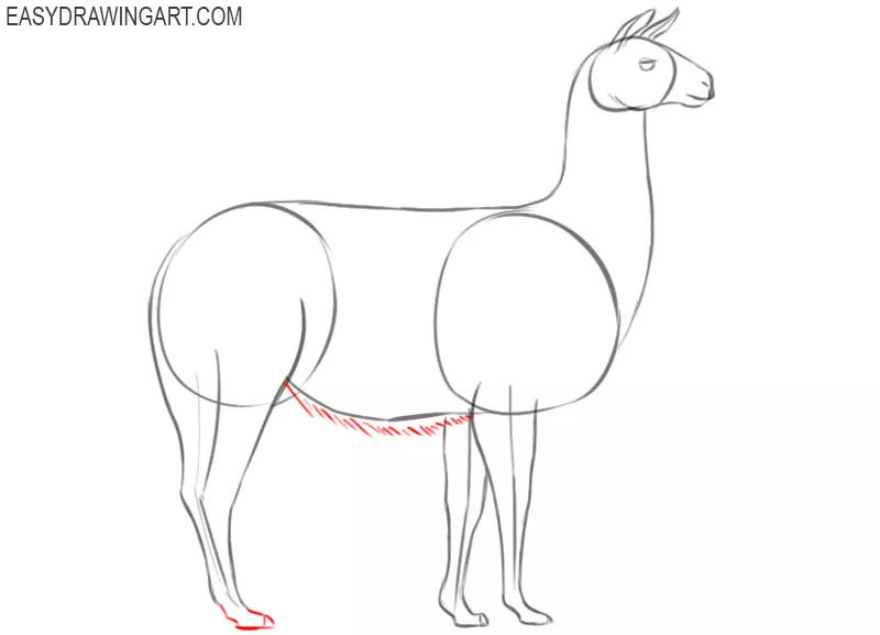 how to draw a cartoon llama step by step