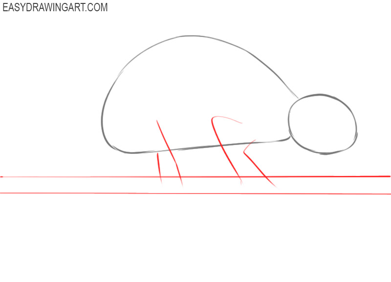 how to draw a chameleon step by step easy